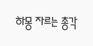 개별결제